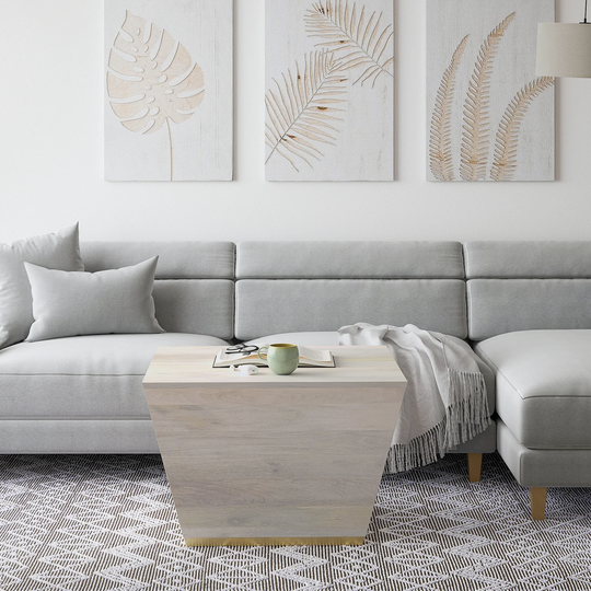 WYNDENHALL Gillean Solid Mango Wood 28 inch Wide Square Modern Coffee Table - 28 x 28 x 18.5