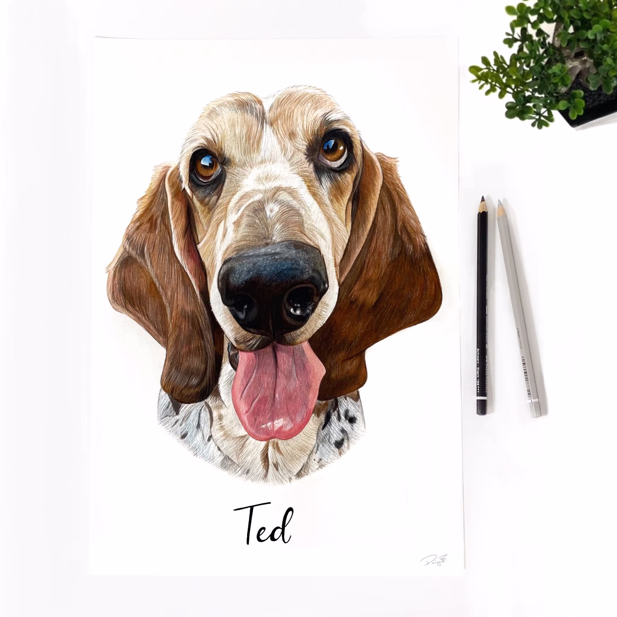 Coloured Pencil Custom Pet Portrait, Dog Portrait, Cat Personalised Gift, Custom Wall Art, Pet Lover Gift