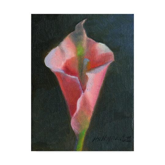 Hall Groat Ii 'Pink Cala Lily' Canvas Art - Multi-color