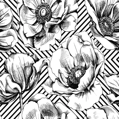 Goodsell Peonies 10' L x 24" W Peel and Stick Wallpaper Roll