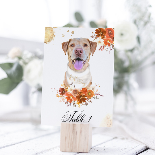 Terracotta | Wedding Table Numbers, With Your Pet Illustration, Decor, Rust Decor