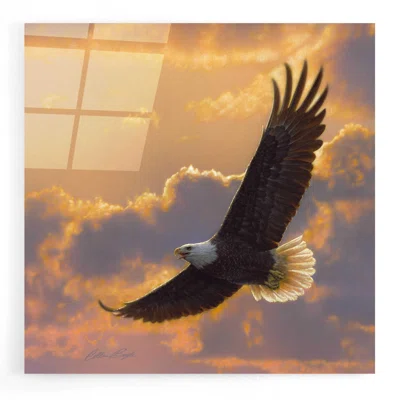 Soaring Spirit by Collin Bogle - Unframed Print