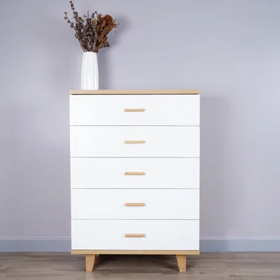 5-Drawer Storage Chest