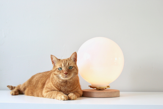 Bubble Lamp, Table Lamp With Large 10" White Glass Globe Shade, Wooden Base, Brass Shade Holder, Mid Century Modern Desk Lighting Fixture