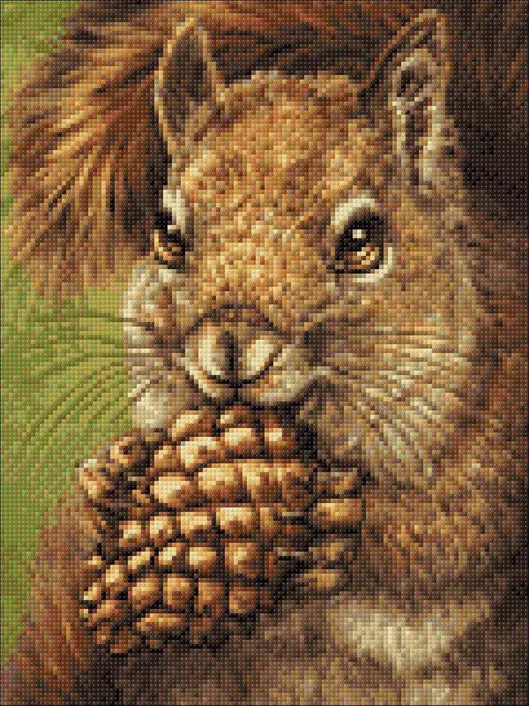 Squirrel Diamond Painting Set By Crafting Spark. Cs2567 Art Kit. Large Kit