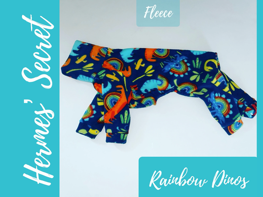 Hermes' Secret Rainbow Dinos Fleece Jammies