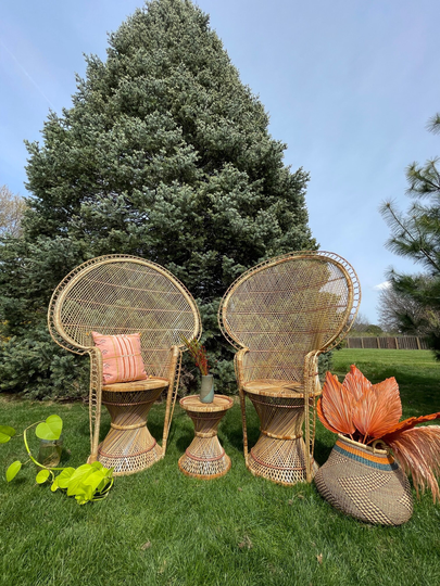 Sale Free Shipping- New Peacock Chair - Set Of 2 Chairs & 1 Table Vintage Style