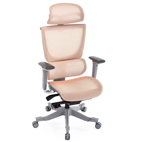 Ergonomic Mesh-back Office Chair Adjustable 5D Armrests