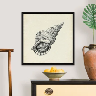Seashell Pencil Sketch I by Emma Caroline - Painting Print