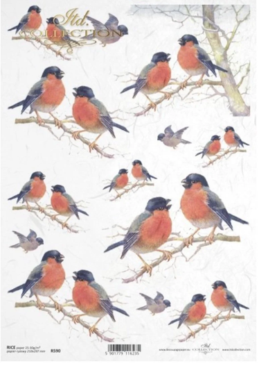 Vintage Bird Rice Paper For Decoupage, Robin, Decorative Mulberry Tissue, Scrapbooking, Card Making, 1 A4 Sheet, R0590