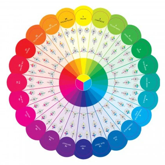 Essential Color Wheel Companion