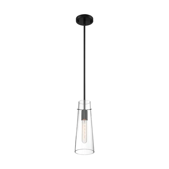 Alondra 1-Light Mini Pendant Fixture - Black Finish with Clear Glass