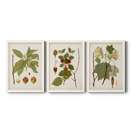 Antique Leaves I-Premium Framed Canvas - Ready to Hang - Multi-Color