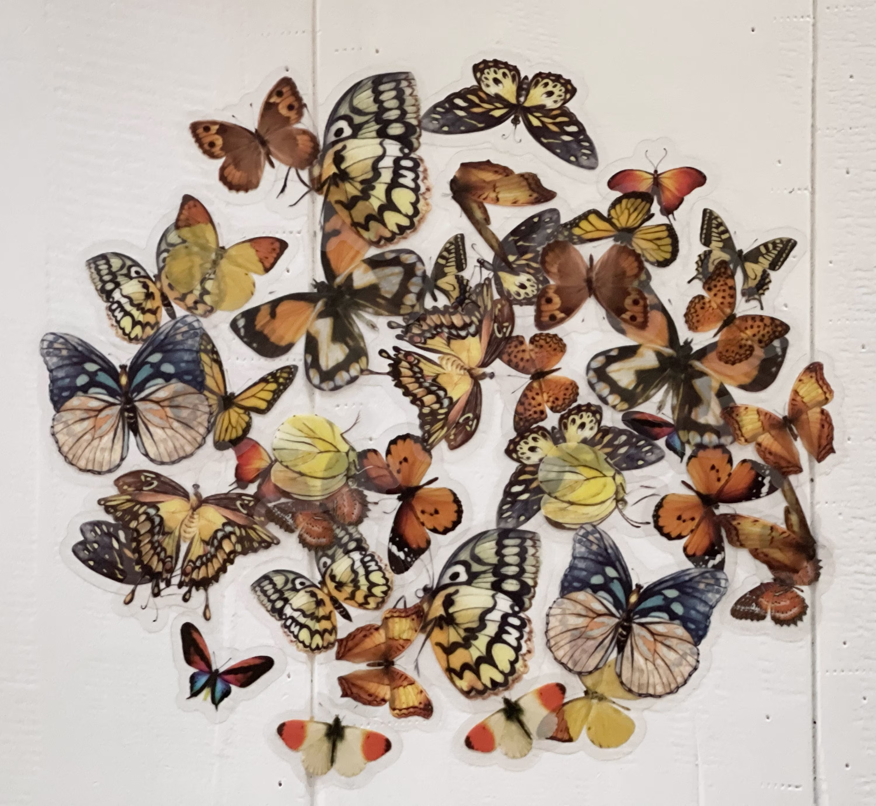 40 Clear Translucent Butterfly Stickers - Fall Colors Backing Great For Crafts, Scrapbooking, Journals #0106x