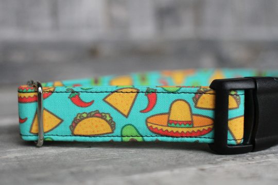 Cinco De Mayo Dog Collar, Taco Summer Male Female Large Small Collar