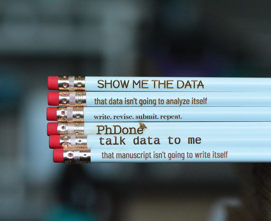 Funny Academic Pencils // Gift For Grad Student Science Nerdy Gifts Seize The Data Humor Phd