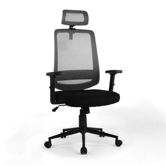 Ergonomic office chair mesh computer chair - High Back Desk Chair with Adjustable Lumbar Support, PP fixed handrail