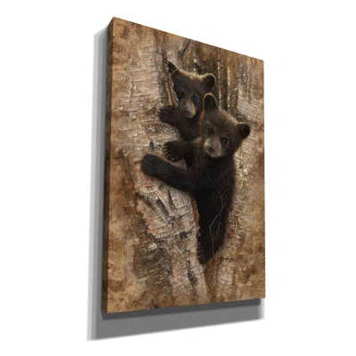Millwood Pines 'Curious Cubs' By Collin Bogle, Canvas Wall Art