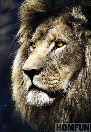 Great Lion Head Diy 5D Diamond Painting Kit Full Square & Round Drill