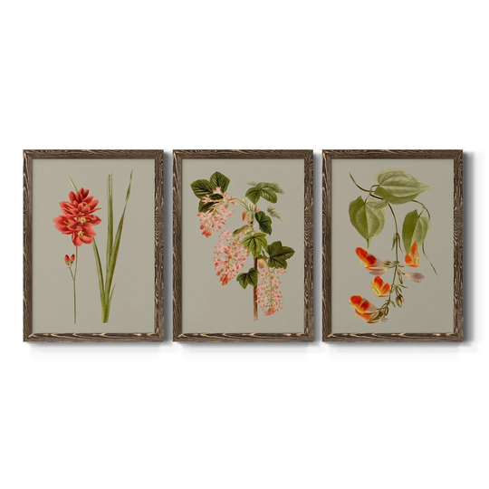 Botanical Array IV-Premium Framed Canvas - Ready to Hang - Multi-Color