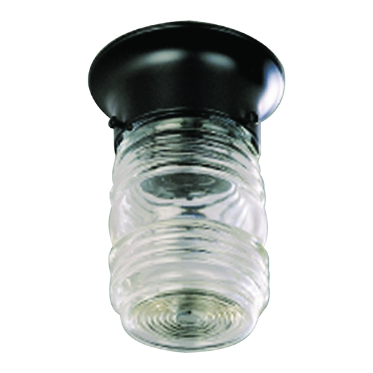 Volume Lighting 1-Light Black Flush Mount Ceiling Fixture