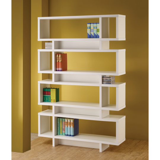 Contemporary Multi-storage Bookcase