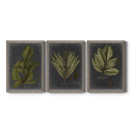 Foliage Dramatique I-Premium Framed Canvas - Ready to Hang - Multi-Color