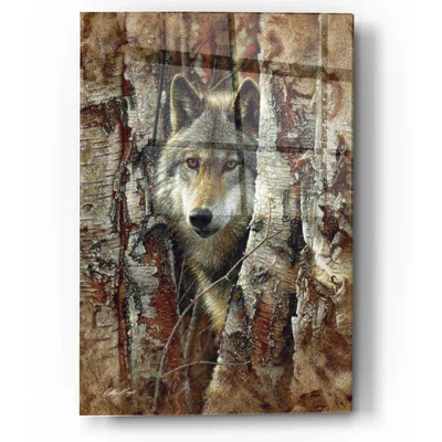 Wood Land Spirit by Collin Bogle - Unframed Print